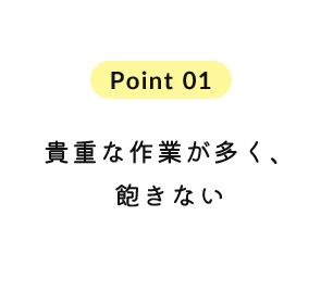 貴重な作業が多く、飽きない
