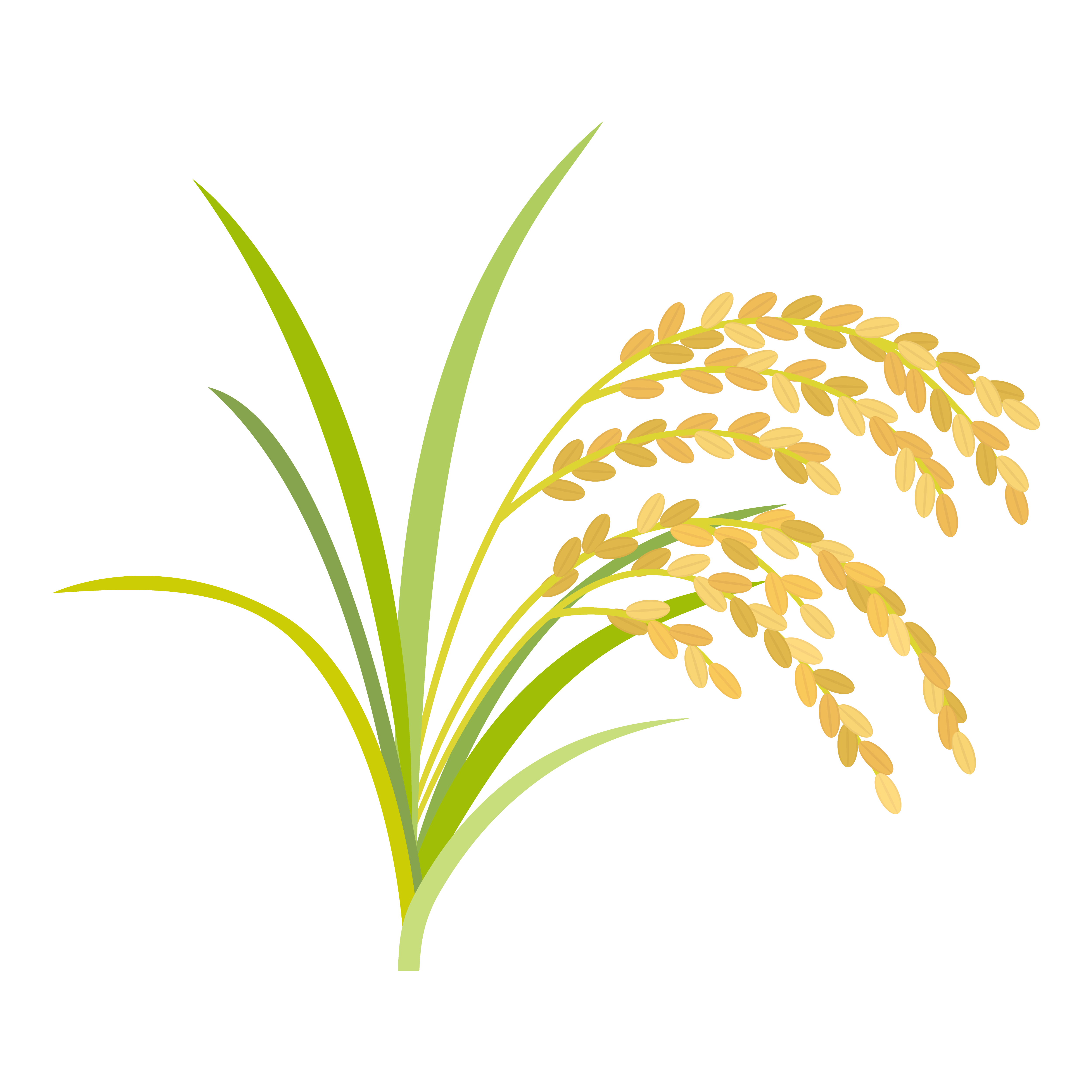 イラスト