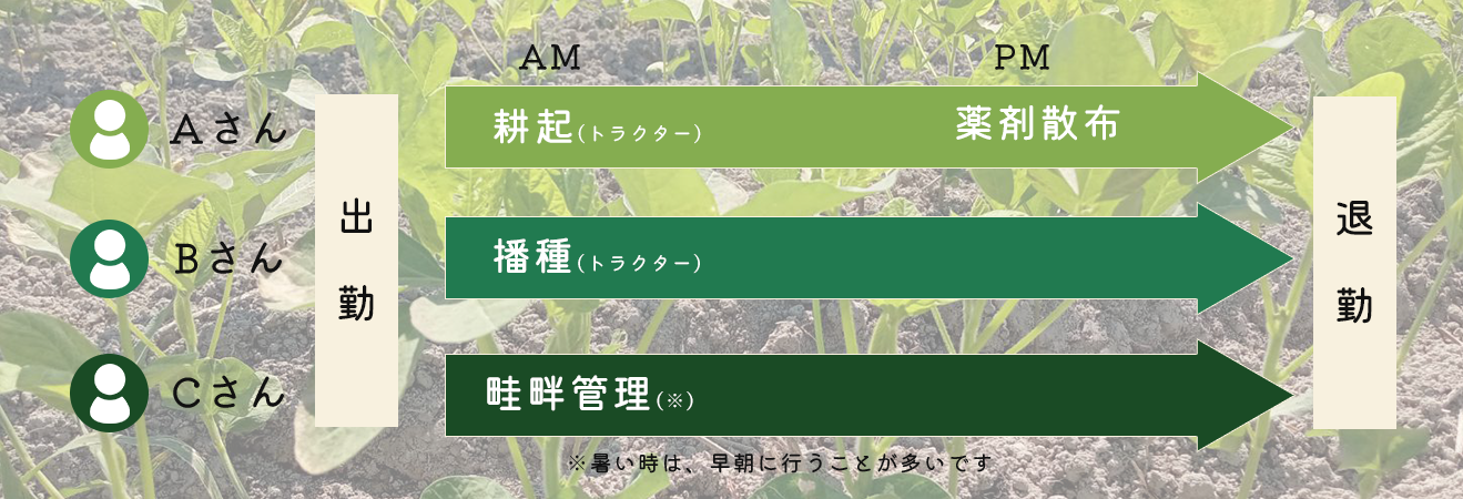 一日の流れ