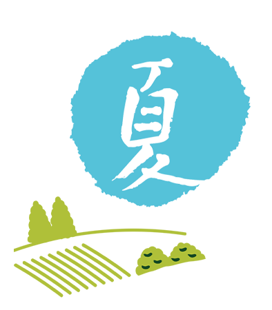 一日の流れ