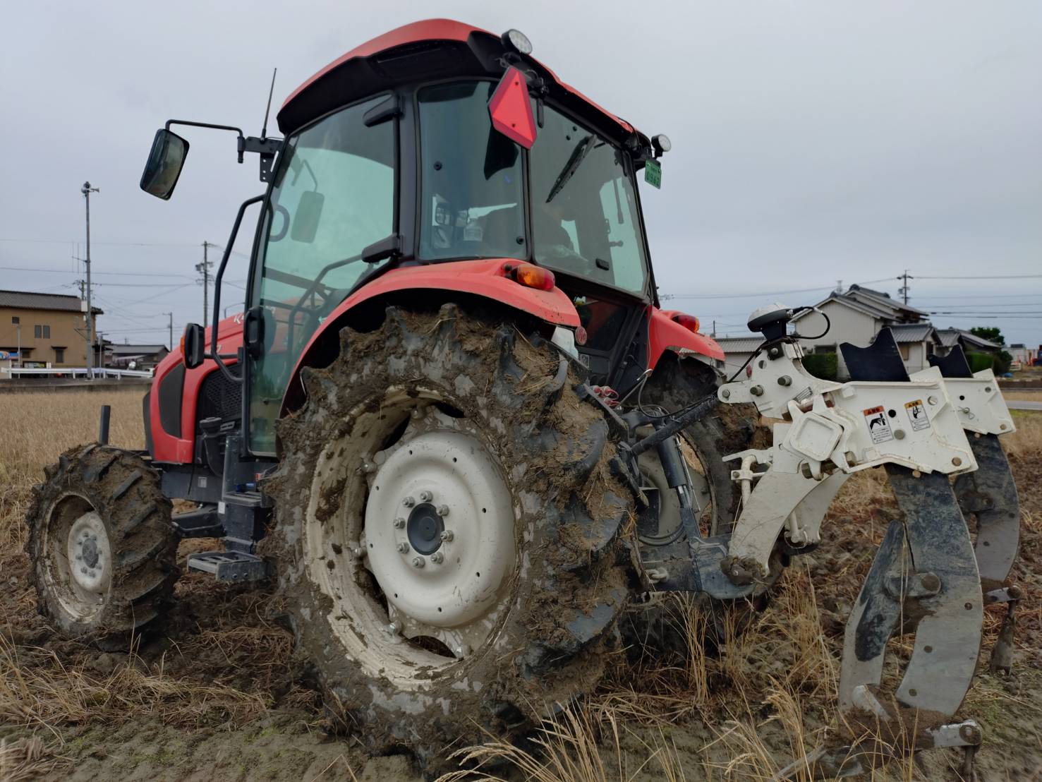 小麦　水田転換×排水対策＃②