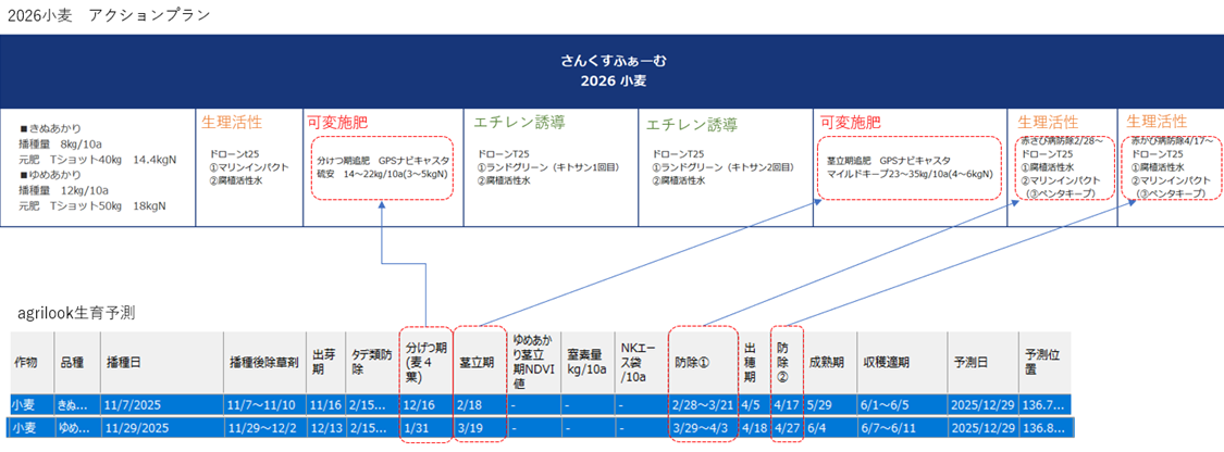小麦　ザルビオ×Z-gisとアクションプラン