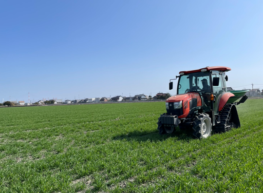 小麦　茎立期追肥×生育診断